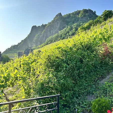 Rheintal Luxusresidenz In Röhndorf