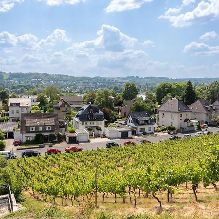 Rheintal Luxusresidenz In Röhndorf Apartment