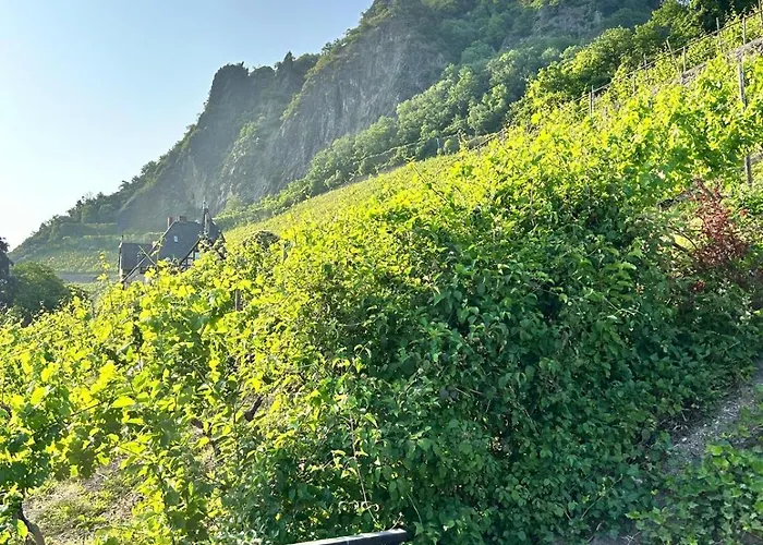 Rheintal Luxusresidenz In Roehndorf